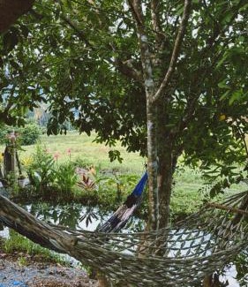 Satun House | Highly Rated CannaGarden2: A Budget-Friendly Escape