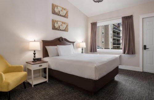 Charlottetown Hotel | Pet-Friendly Comfort at Canada's Best Value Inn & Suites