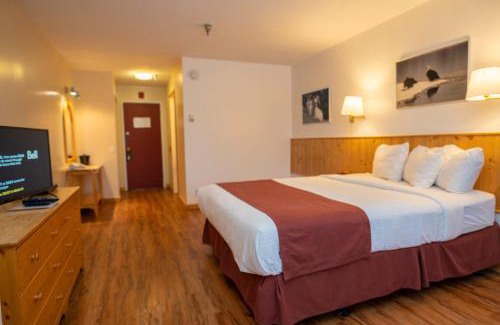 Whitehorse Hotel | Pet-Friendly Canada’s Best Value Inn - Riverview Hotel Stay