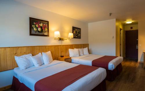 Whitehorse Hotel | Pet-Friendly Canada’s Best Value Inn - Riverview Hotel Stay