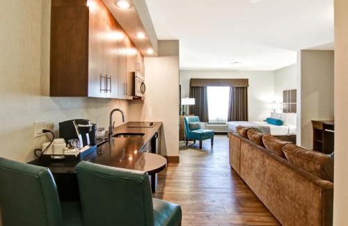Selkirk Hotel | Explore Canalta Selkirk: Pet-Friendly Retreat with Pool