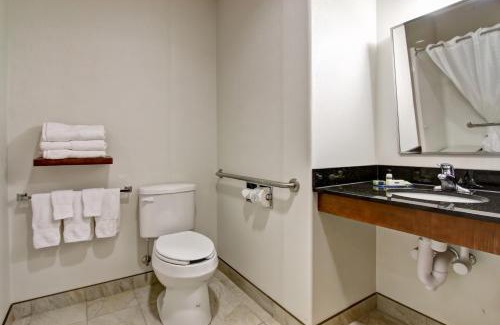 Selkirk Hotel | Explore Canalta Selkirk: Pet-Friendly Retreat with Pool