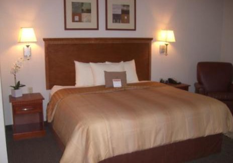 Georgetown Hotel | Pet-Friendly Candlewood Suites Georgetown for Family Getaways