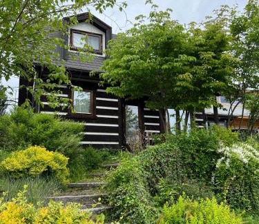 Ikeda House | Family-Friendly Canoa Guest House B: Rated 9/10 for Comfort