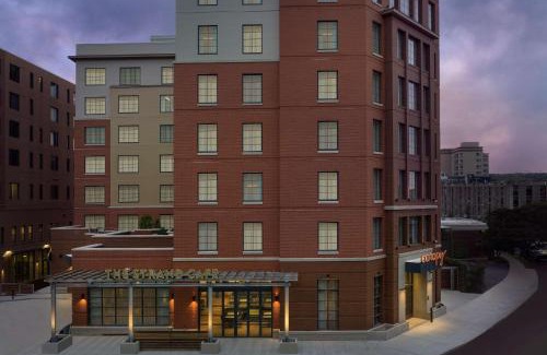 Ithaca Hotel | Pet-Friendly Retreat at Canopy By Hilton Ithaca Downtown