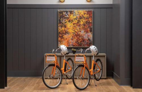 Ithaca Hotel | Pet-Friendly Retreat at Canopy By Hilton Ithaca Downtown