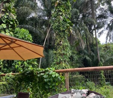 Itacare Apartment | Unforgettable Stays at Canta Galo with Ocean Views