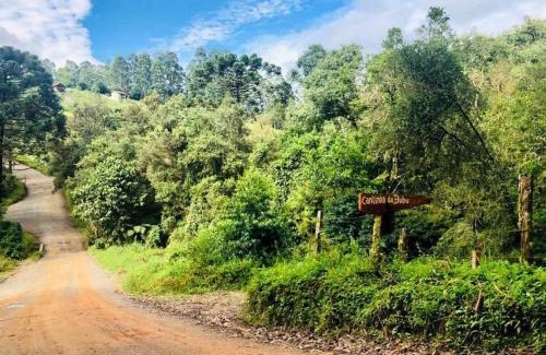 Goncalves House | Pet-Friendly Retreat at Cantinho da Bubu - Guest Rated 10/10