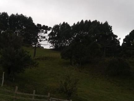 Urubici Cabin | Pet-Friendly Retreat at Cantinho do Sossego - Rated 10/10