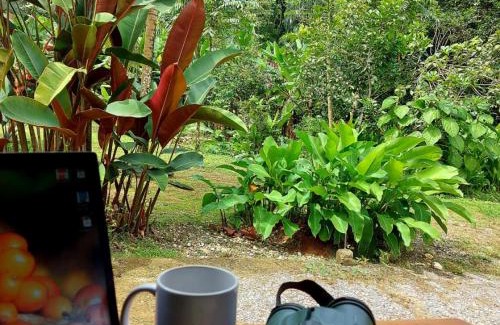 Quebrada La Gamba House | Relax at Canto del Tucán Lodge: Pet & Child Friendly Stay