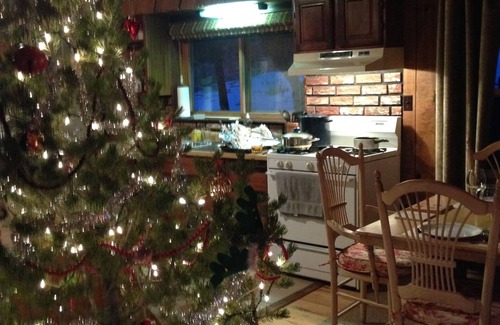 Canon City Cabin | Scenic Mountain Retreat with Sauna & Pet-Friendly Options