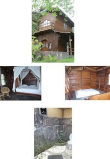 Bukittinggi Cabin | Pet-Friendly Canyon Jungle Stay with Breakfast Included