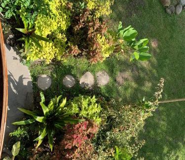 Bukittinggi Cabin | Pet-Friendly Canyon Jungle Stay with Breakfast Included