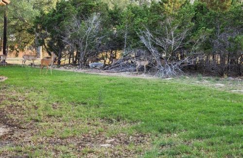 Canyon Lake Villa | Pet-Friendly Canyon Lake Oasis Steps from Boat Ramp