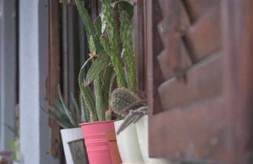 Dolna Matka Apartment | Cozy Canyon Matka Nature Apartments with Scenic Terrace