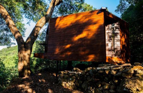 Biscoitos Resort | Eco-Friendly Caparica Azores Ecolodge with Ocean Views
