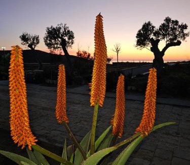 Ishem Hotel | Cape of Rodon Resort, Green Village