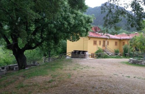 Arroyo Frio Apartment | Pet-Friendly Retreat at Capellania 7 with Pool Access