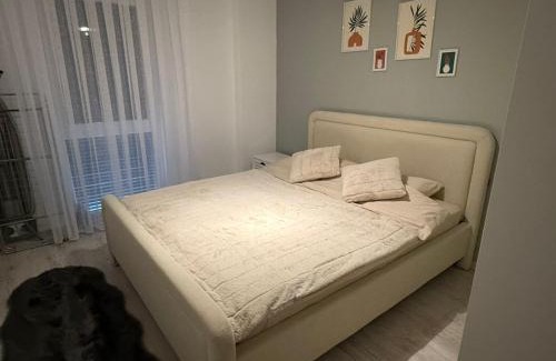 Kolovicë Apartment | Capital Apartment 19A
