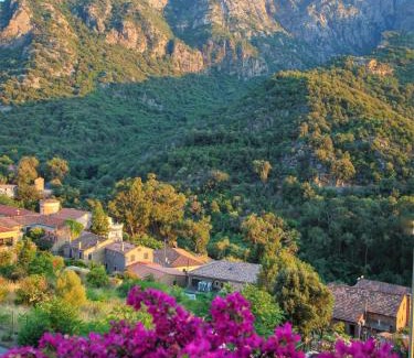 Porto Hotel | Inviting Capo D'orto: Oceanfront Stay with Pool & Breakfast
