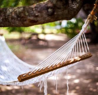 Pangani Cabin | Guest Rated 10/10 at Capricorn Beach Cottages