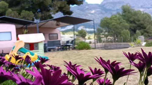 La Nucia House | Relaxing Glamping Retreat at Caravana - Casa Tortuga