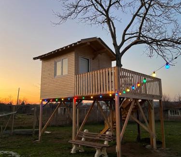 Dulgopol Other | Pet-Friendly Caravans Near Tsonevo Lake & Black Sea Coast
