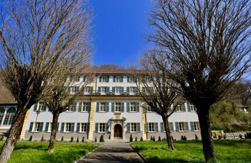 Bad Imnau Hotel | Pet-Friendly CAREA Hotel Fürstenhof with Family Amenities