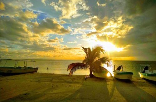 Isla Arena Cabin | Carey Cabañas: Pet-Friendly Retreat with Ocean Views
