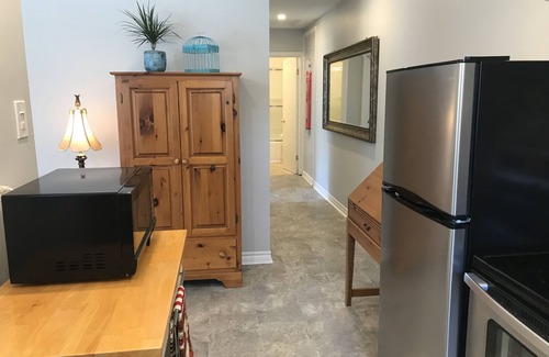 Carleton Place Apartment | Inviting Carleton Place Downtown Airbnb with Family Amenities