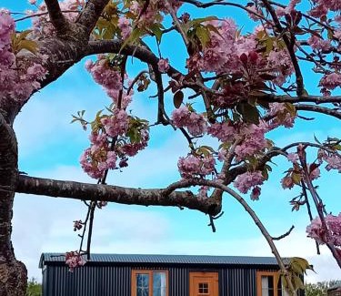 Dundalk Apartment | Pet-Friendly Retreat at Carlingford Glamping Hut