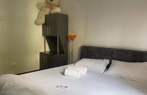 Ramnicu Valcea Apartment | Pet-Friendly Getaway at Carlitos Apt with Hot Tub & Breakfast
