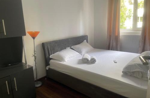 Ramnicu Valcea Apartment | Pet-Friendly Getaway at Carlitos Apt with Hot Tub & Breakfast