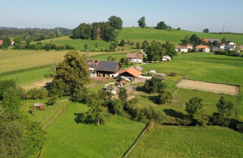Neuravensburg Apartment | Cozy Carlo: Oceanfront Stay with Pool and Breakfast