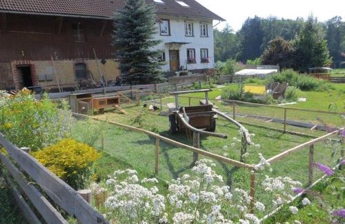 Neuravensburg Apartment | Cozy Carlo: Oceanfront Stay with Pool and Breakfast