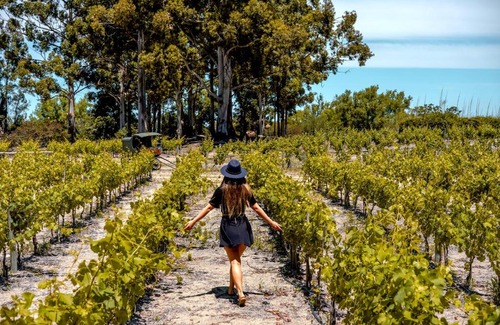Colonia Estrella Resort | Indulge at Carmelo Resort & Spa: Oceanfront Elegance Awaits