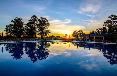 Colonia Estrella Resort | Indulge at Carmelo Resort & Spa: Oceanfront Elegance Awaits