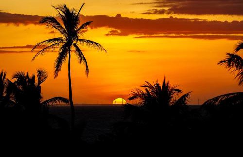 Ponta do Anel Resort | Experience Carnaubinha Praia Resort: 5-Star Oceanfront Escape