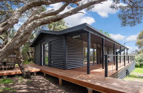 Blairgowrie House | Pet-Friendly Carnoustie Log Cabin in Blairgowrie