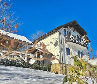 Yaremche Cabin | Discover Carpathian Manor: Pet-Friendly with 9.6 Rating
