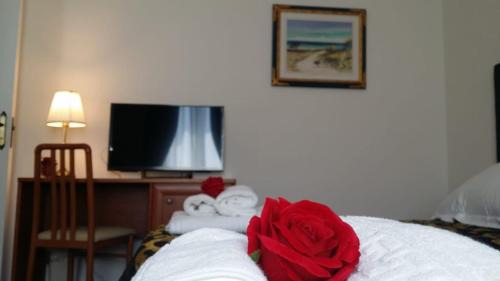 Palombina Nuova House | Exceptional Stay at Carpe Diem Ancona with Kitchen Access