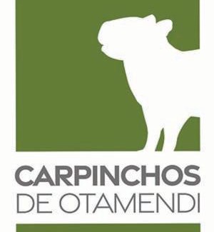 Campana Apartment | Experience Carpinchos De Otamendi: Pet-Friendly Retreat