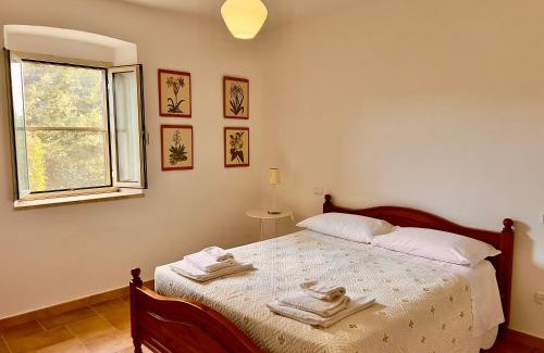 Grosseto Apartment | Discover Carpine Agriturismo Bio in Maremma: 9/10 Rating
