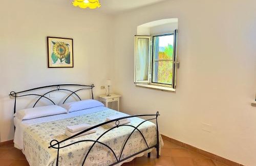 Grosseto Apartment | Discover Carpine Agriturismo Bio in Maremma: 9/10 Rating
