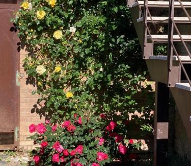 Sovicille Apartment | Idyllic Carpineto1: Garden Apartment Near Siena for Families