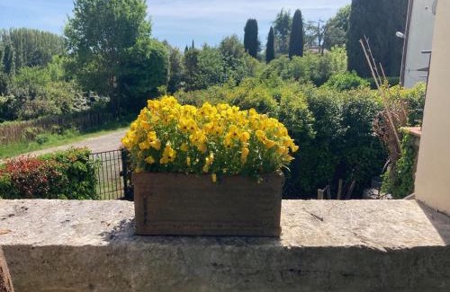 Sovicille Apartment | Idyllic Carpineto1: Garden Apartment Near Siena for Families