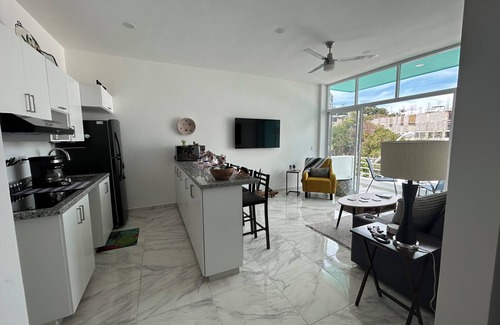 Downtown Mazatlan Apartment | Carrizo apartment