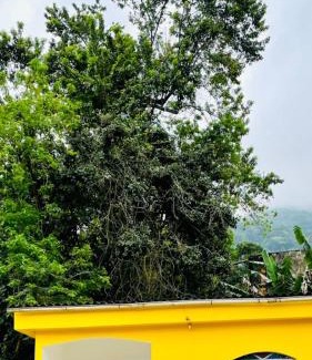 Porto da Madama House | Pet-Friendly Carvalho de Paquetá: A Family Retreat