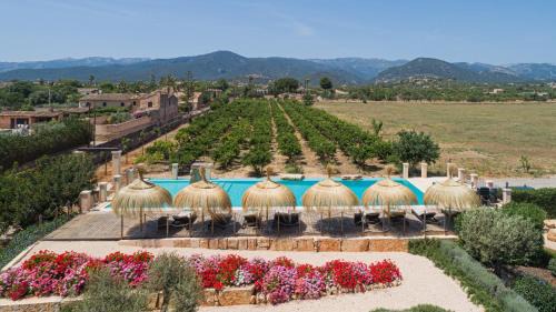 Santa Maria del Cami Villa | Experience Cas Metge Matas: Oceanfront Bliss and Amenities