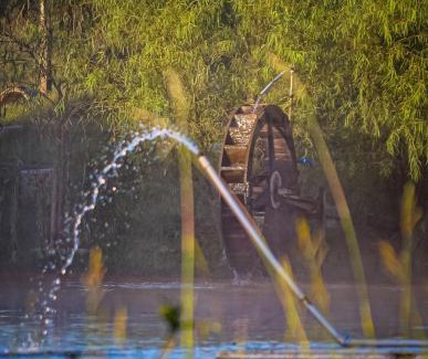 Bom Retiro House | Pet-Friendly Retreat at Apartamento Fazenda Esperança 01